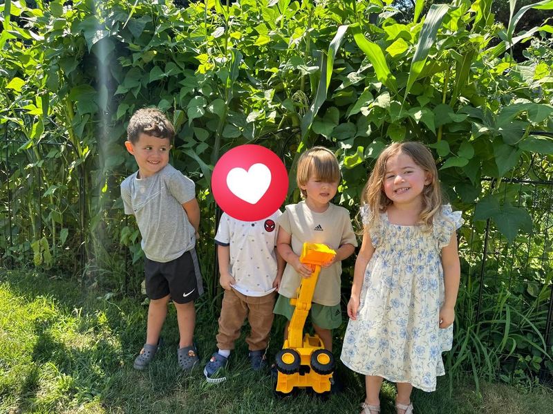 Four friends standing by the vegetable garden
